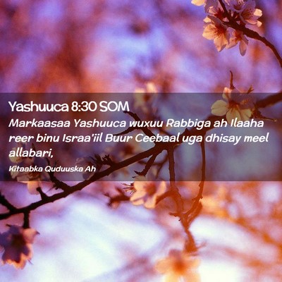 Picture 02 - Yashuuca 8:30 SOM - Markaasaa Yashuuca wuxuu Rabbiga ah Ilaaha reer - Bible Verse Picture
