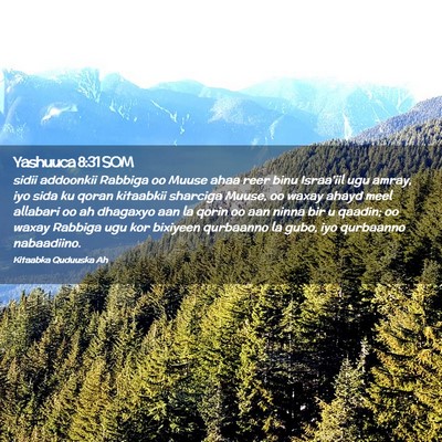 Picture 02 - Yashuuca 8:31 SOM - sidii addoonkii Rabbiga oo Muuse ahaa reer binu - Bible Verse Picture