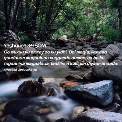 Picture 02 - Yashuuca 8:4 SOM - Oo wuxuu ku amray oo ku yidhi, Bal maqla, waxaad - Bible Verse Picture