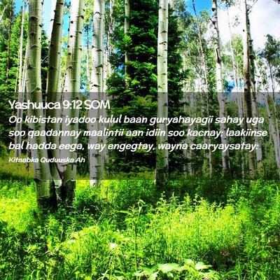 Picture 02 - Yashuuca 9:12 SOM - Oo kibistan iyadoo kulul baan guryahayagii sahay - Bible Verse Picture