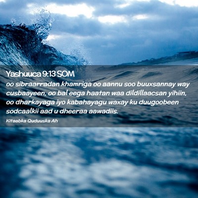Picture 02 - Yashuuca 9:13 SOM - oo sibraarradan khamriga oo aannu soo buuxsannay - Bible Verse Picture