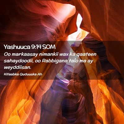 Picture 02 - Yashuuca 9:14 SOM - Oo markaasay nimankii wax ka qaateen sahaydoodii, - Bible Verse Picture