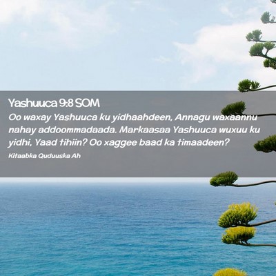 Picture 02 - Yashuuca 9:8 SOM - Oo waxay Yashuuca ku yidhaahdeen, Annagu waxaannu - Bible Verse Picture
