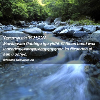 Picture 02 - Yeremyaah 1:12 SOM - Markaasaa Rabbigu igu yidhi, Si fiican baad wax u - Bible Verse Picture