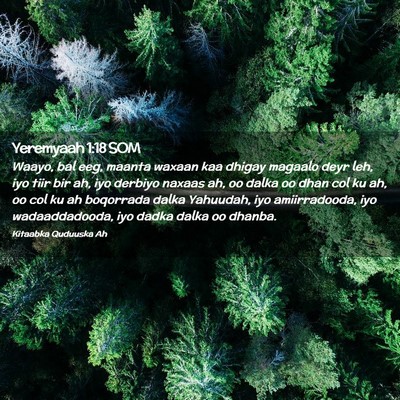 Picture 02 - Yeremyaah 1:18 SOM - Waayo, bal eeg, maanta waxaan kaa dhigay magaalo - Bible Verse Picture