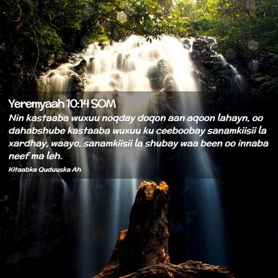 Picture 02 - Yeremyaah 10:14 SOM - Nin kastaaba wuxuu noqday doqon aan aqoon lahayn, - Bible Verse Picture