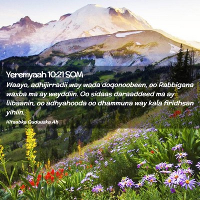 Picture 02 - Yeremyaah 10:21 SOM - Waayo, adhijirradii way wada doqonoobeen, oo - Bible Verse Picture