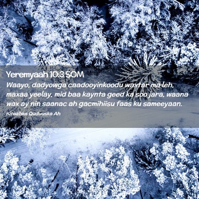 Picture 02 - Yeremyaah 10:3 SOM - Waayo, dadyowga caadooyinkoodu waxtar ma leh, - Bible Verse Picture