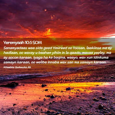 Picture 02 - Yeremyaah 10:5 SOM - Sanamyadaas waa sida geed timireed oo toosan, - Bible Verse Picture