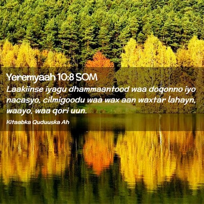 Picture 02 - Yeremyaah 10:8 SOM - Laakiinse iyagu dhammaantood waa doqonno iyo - Bible Verse Picture