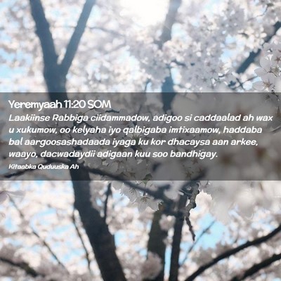 Picture 02 - Yeremyaah 11:20 SOM - Laakiinse Rabbiga ciidammadow, adigoo si - Bible Verse Picture