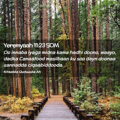 Picture 02 - Yeremyaah 11:23 SOM - Oo innaba iyaga midna kama hadhi doono, waayo, - Bible Verse Picture