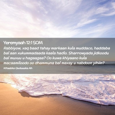 Picture 02 - Yeremyaah 12:1 SOM - Rabbiyow, xaq baad tahay markaan kula muddaco, - Bible Verse Picture