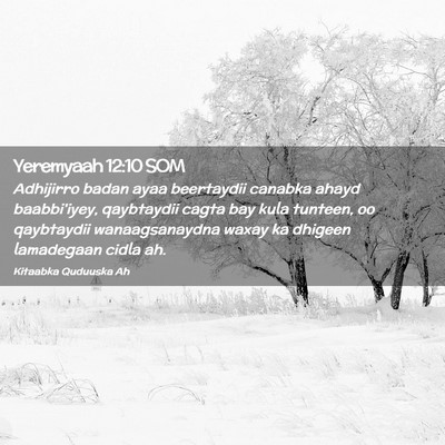 Picture 02 - Yeremyaah 12:10 SOM - Adhijirro badan ayaa beertaydii canabka ahayd - Bible Verse Picture