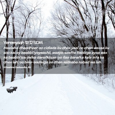 Picture 02 - Yeremyaah 12:12 SOM - Meelaha dhaadheer oo cidlada ku dhex yaal oo dhan - Bible Verse Picture