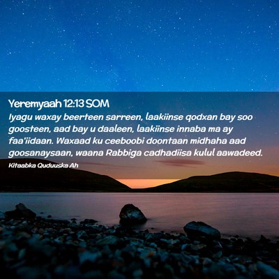 Picture 02 - Yeremyaah 12:13 SOM - Iyagu waxay beerteen sarreen, laakiinse qodxan - Bible Verse Picture