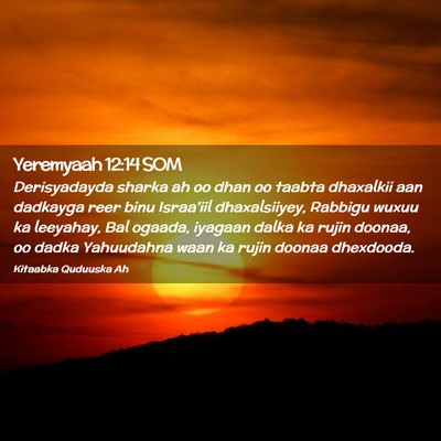 Picture 02 - Yeremyaah 12:14 SOM - Derisyadayda sharka ah oo dhan oo taabta - Bible Verse Picture