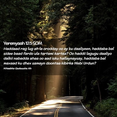 Picture 02 - Yeremyaah 12:5 SOM - Haddaad rag lug ah la orodday oo ay ku daaliyeen, - Bible Verse Picture