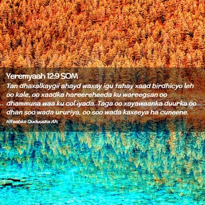 Picture 02 - Yeremyaah 12:9 SOM - Tan dhaxalkaygii ahayd waxay igu tahay xaad - Bible Verse Picture