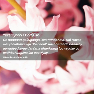 Picture 02 - Yeremyaah 13:22 SOM - Oo haddaad qalbigaaga iska tidhaahdid, Bal maxaa - Bible Verse Picture
