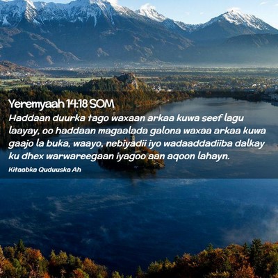 Picture 02 - Yeremyaah 14:18 SOM - Haddaan duurka tago waxaan arkaa kuwa seef lagu - Bible Verse Picture