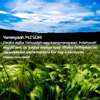 Picture 02 - Yeremyaah 14:2 SOM - Dadka dalka Yahuudah way barooranayaan, - Bible Verse Picture