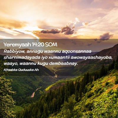 Picture 02 - Yeremyaah 14:20 SOM - Rabbiyow, annagu waannu aqoonsannaa - Bible Verse Picture