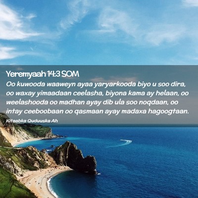 Picture 02 - Yeremyaah 14:3 SOM - Oo kuwooda waaweyn ayaa yaryarkooda biyo u soo - Bible Verse Picture
