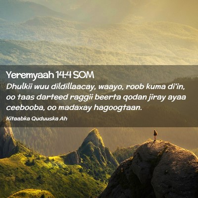 Picture 02 - Yeremyaah 14:4 SOM - Dhulkii wuu dildillaacay, waayo, roob kuma di'in, - Bible Verse Picture