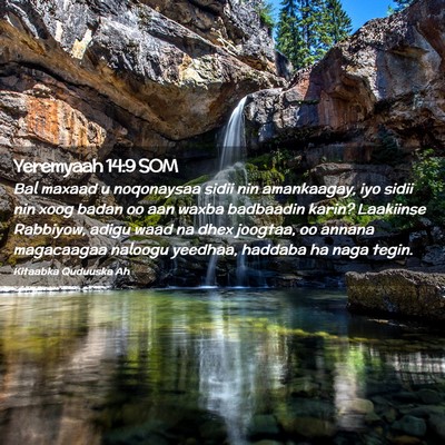 Picture 02 - Yeremyaah 14:9 SOM - Bal maxaad u noqonaysaa sidii nin amankaagay, iyo - Bible Verse Picture