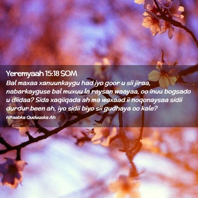 Picture 02 - Yeremyaah 15:18 SOM - Bal maxaa xanuunkaygu had iyo goor u sii jiraa, - Bible Verse Picture
