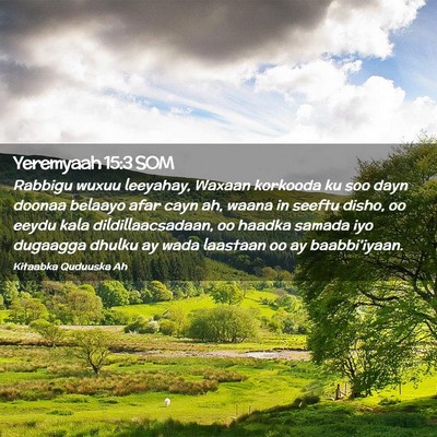 Picture 02 - Yeremyaah 15:3 SOM - Rabbigu wuxuu leeyahay, Waxaan korkooda ku soo - Bible Verse Picture