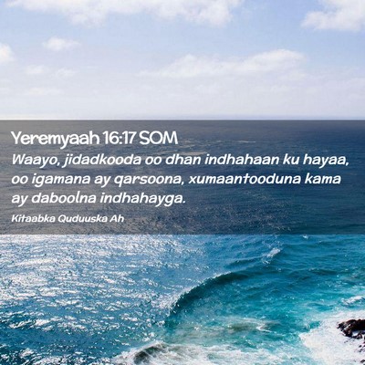 Picture 02 - Yeremyaah 16:17 SOM - Waayo, jidadkooda oo dhan indhahaan ku hayaa, oo - Bible Verse Picture