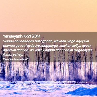 Picture 02 - Yeremyaah 16:21 SOM - Sidaas daraaddeed bal ogaada, waxaan iyaga - Bible Verse Picture
