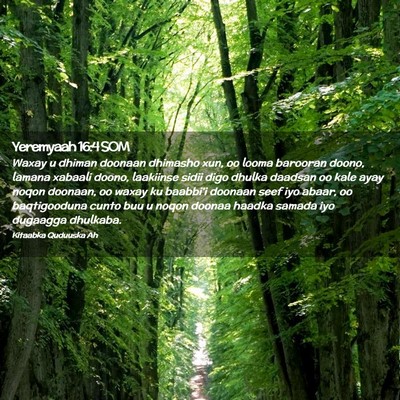 Picture 02 - Yeremyaah 16:4 SOM - Waxay u dhiman doonaan dhimasho xun, oo looma - Bible Verse Picture