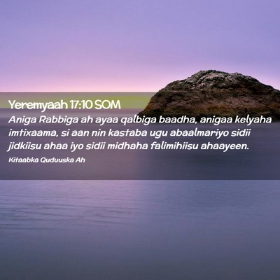 Picture 02 - Yeremyaah 17:10 SOM - Aniga Rabbiga ah ayaa qalbiga baadha, anigaa - Bible Verse Picture