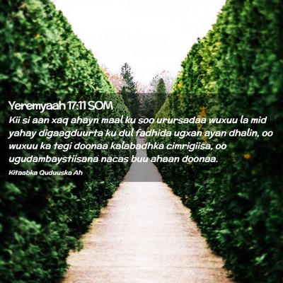 Picture 02 - Yeremyaah 17:11 SOM - Kii si aan xaq ahayn maal ku soo urursadaa wuxuu - Bible Verse Picture