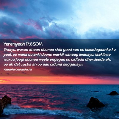 Picture 02 - Yeremyaah 17:6 SOM - Waayo, wuxuu ahaan doonaa sida geed xun oo - Bible Verse Picture