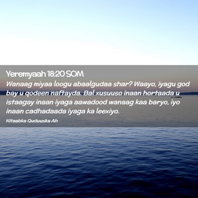 Picture 02 - Yeremyaah 18:20 SOM - Wanaag miyaa loogu abaalgudaa shar? Waayo, iyagu - Bible Verse Picture