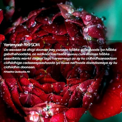 Picture 02 - Yeremyaah 19:9 SOM - Oo waxaan ka dhigi doonaa inay cunaan hilibka - Bible Verse Picture
