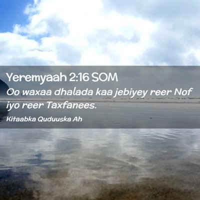 Picture 02 - Yeremyaah 2:16 SOM - Oo waxaa dhalada kaa jebiyey reer Nof iyo reer - Bible Verse Picture