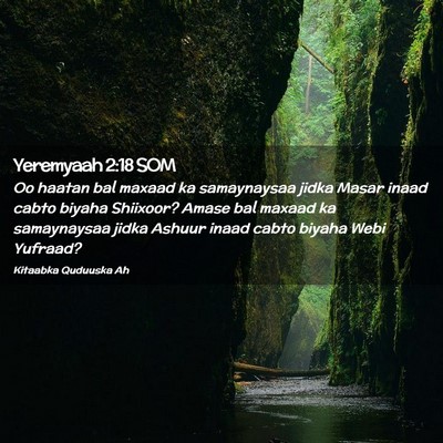Picture 02 - Yeremyaah 2:18 SOM - Oo haatan bal maxaad ka samaynaysaa jidka Masar - Bible Verse Picture