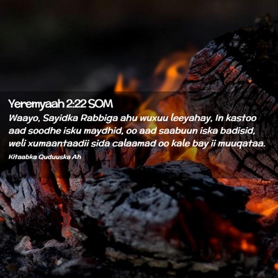 Picture 02 - Yeremyaah 2:22 SOM - Waayo, Sayidka Rabbiga ahu wuxuu leeyahay, In - Bible Verse Picture