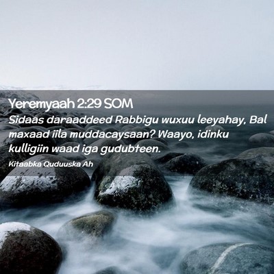 Picture 02 - Yeremyaah 2:29 SOM - Sidaas daraaddeed Rabbigu wuxuu leeyahay, Bal - Bible Verse Picture