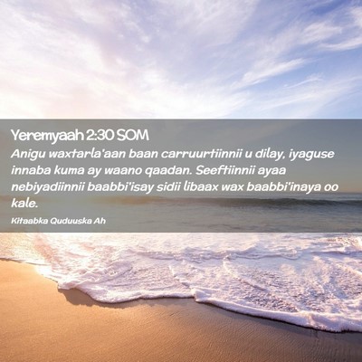 Picture 02 - Yeremyaah 2:30 SOM - Anigu waxtarla'aan baan carruurtiinnii u dilay, - Bible Verse Picture