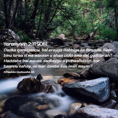 Picture 02 - Yeremyaah 2:31 SOM - Dadka qarniganow, bal erayga Rabbiga ka fiirsada. - Bible Verse Picture