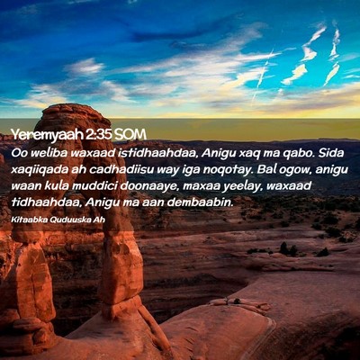 Picture 02 - Yeremyaah 2:35 SOM - Oo weliba waxaad istidhaahdaa, Anigu xaq ma qabo. - Bible Verse Picture