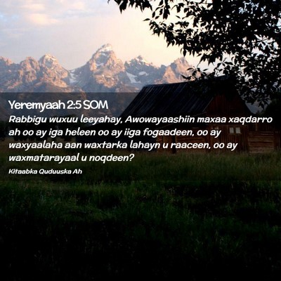 Picture 02 - Yeremyaah 2:5 SOM - Rabbigu wuxuu leeyahay, Awowayaashiin maxaa - Bible Verse Picture
