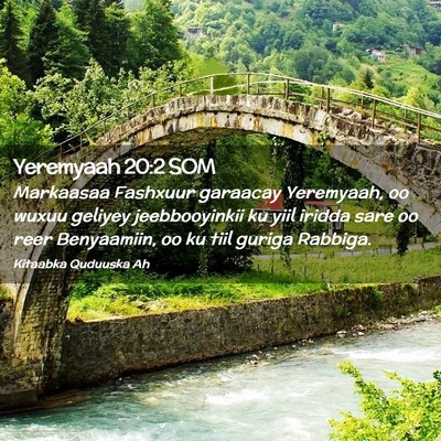 Picture 02 - Yeremyaah 20:2 SOM - Markaasaa Fashxuur garaacay Yeremyaah, oo wuxuu - Bible Verse Picture