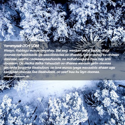 Picture 02 - Yeremyaah 20:4 SOM - Waayo, Rabbigu wuxuu leeyahay, Bal eeg, waxaan - Bible Verse Picture